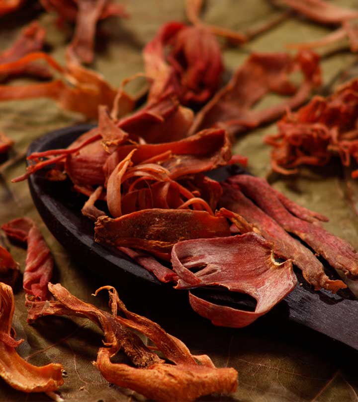 Mace - Javitri - Myristica fragrans -Wild Mace Pods 3 Mace - Javitri - Myristica fragrans -Wild Mace Pods - Image 3