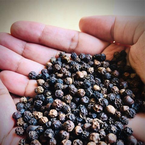 Black Pepper - Kali Mirch - Piper nigrum 3 Black Pepper - Kali Mirch - Piper nigrum - Image 3