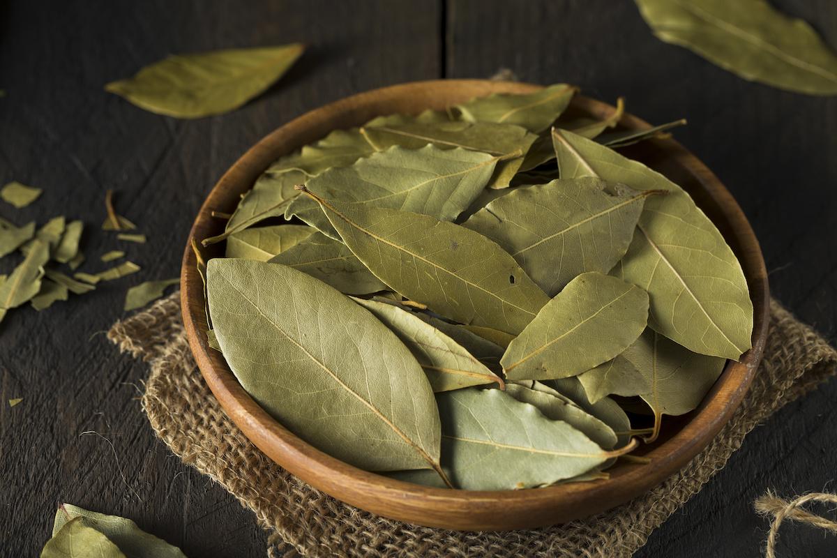 Greek Dried Bay Leaves - Tej Patta - Laurus Nobilis 3 Greek Dried Bay Leaves - Tej Patta - Laurus Nobilis - Image 3