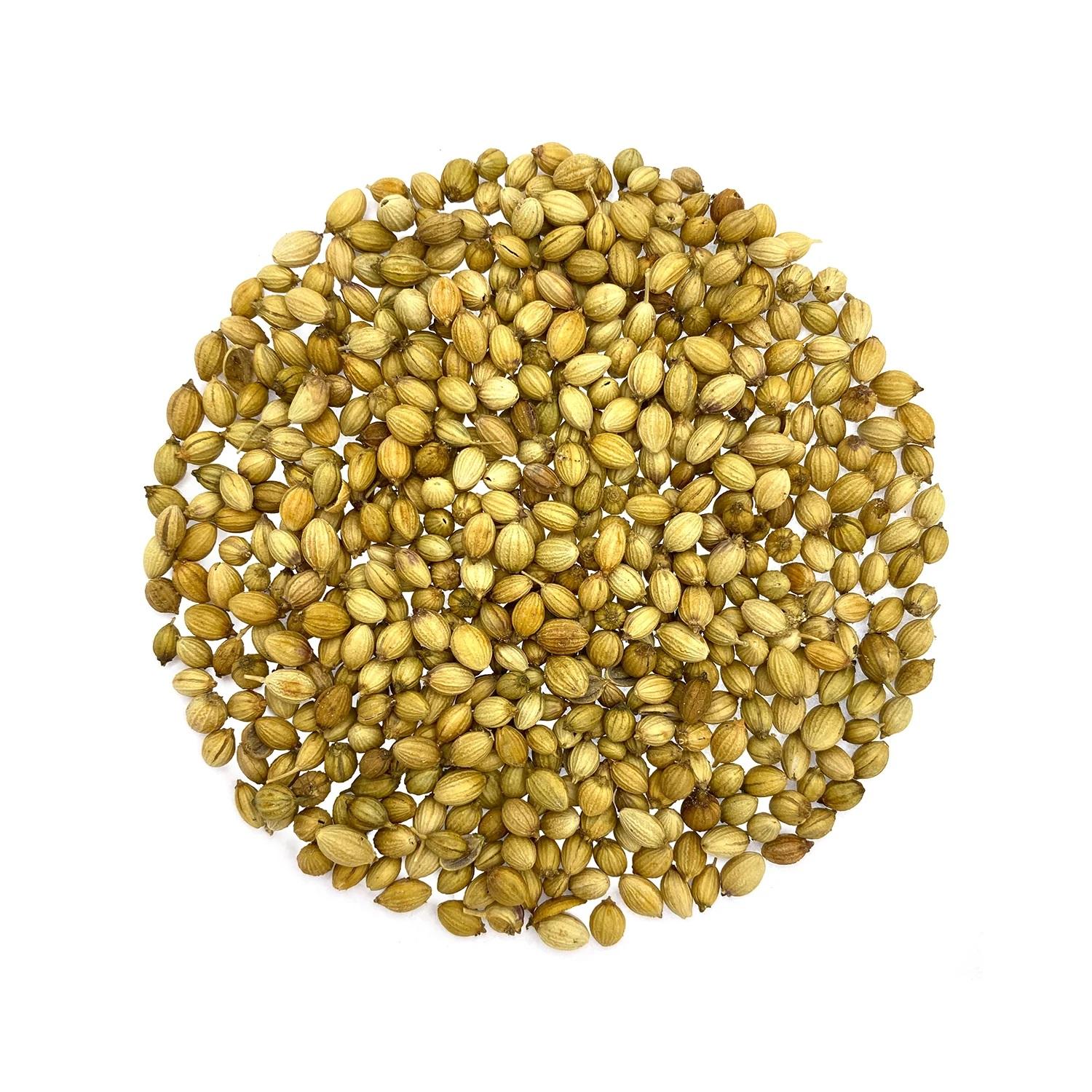 Coriander Seeds - Dhaniya Sabut - Coriandrum Sativum 1 Coriander Seeds - Dhaniya Sabut - Coriandrum Sativum