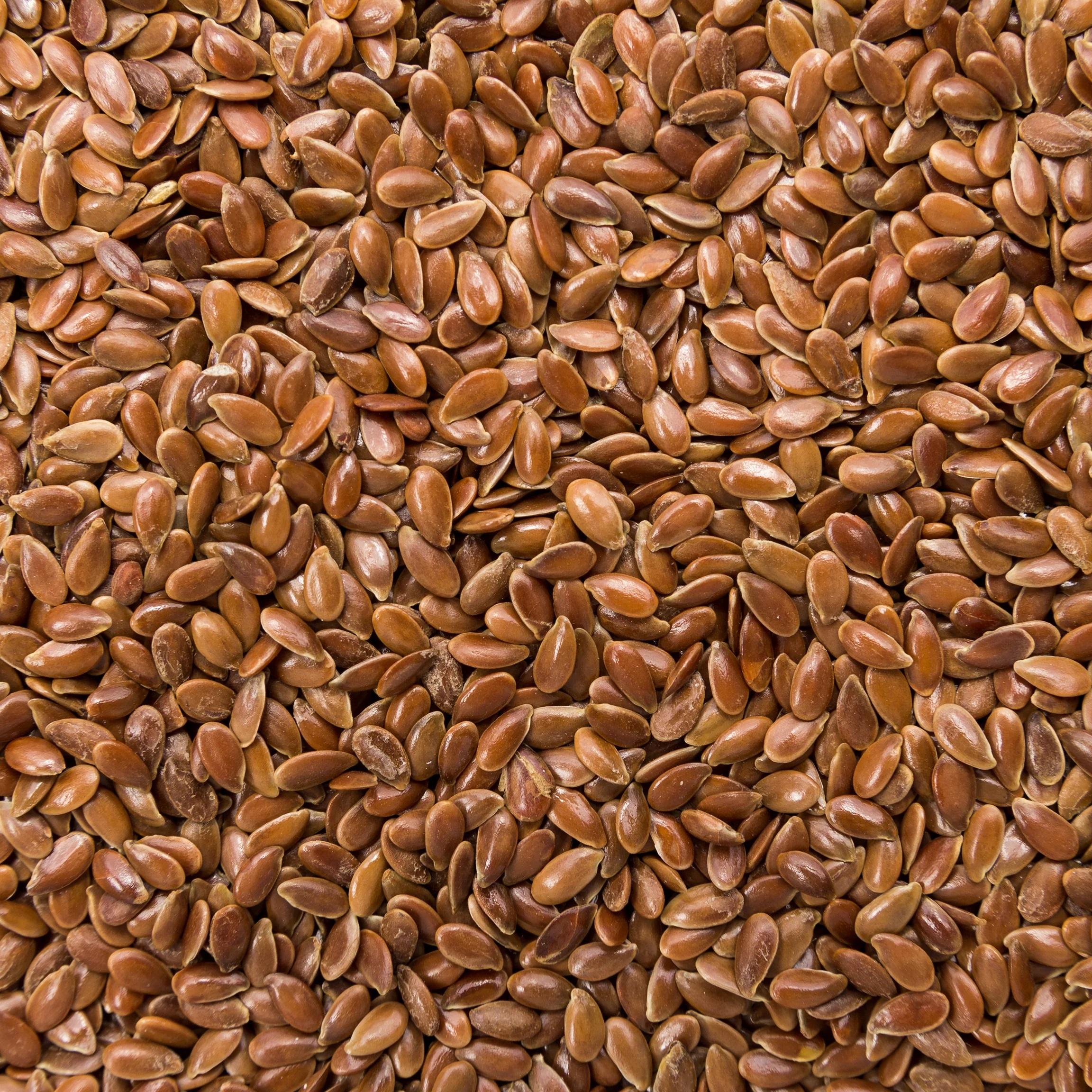 Flax Seeds - Alsi Ke Beej - Linum usitatissimum - Linseeds 2 Flax Seeds - Alsi Ke Beej - Linum usitatissimum - Linseeds - Image 2