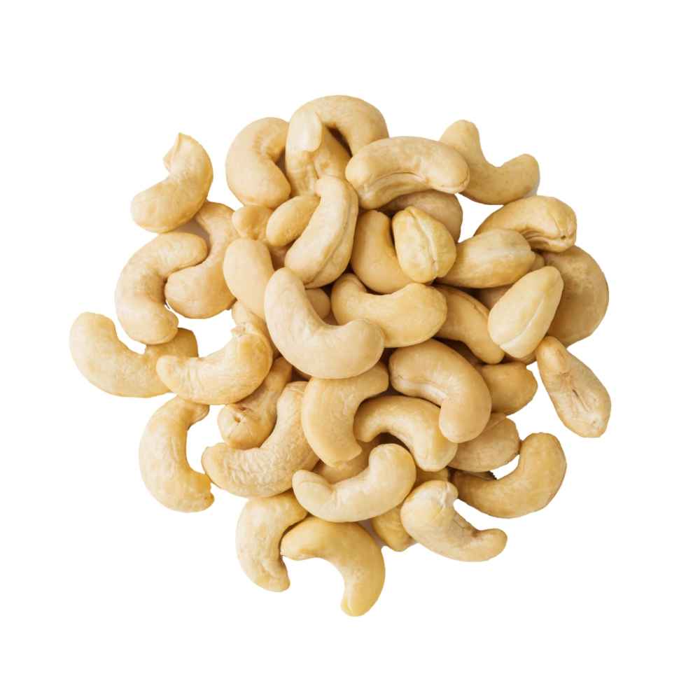 Cashew Nuts W 240 - Kaju - Anacardium occidentale 1 Cashew Nuts W 240 - Kaju - Anacardium occidentale