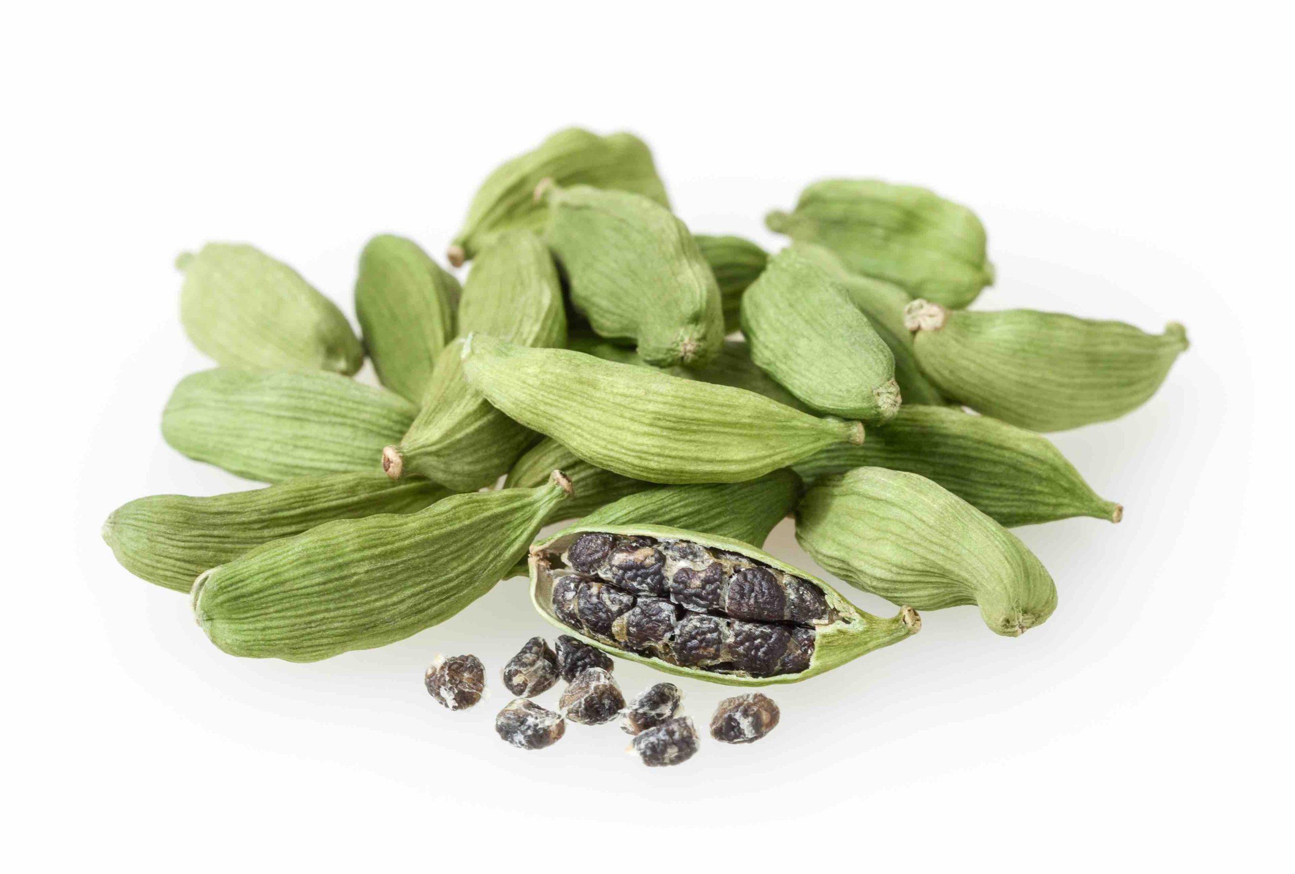 Green Cardamom - Chhoti Elaichi - Elettaria cardamomum 3 Green Cardamom - Chhoti Elaichi - Elettaria cardamomum - Image 3