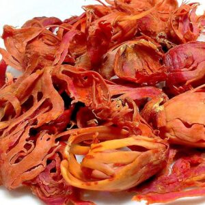 Mace - Javitri - Myristica fragrans -Wild Mace Pods