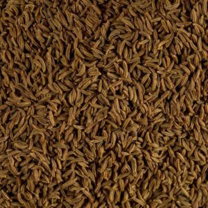 caraway seed Shahi Jeera 2