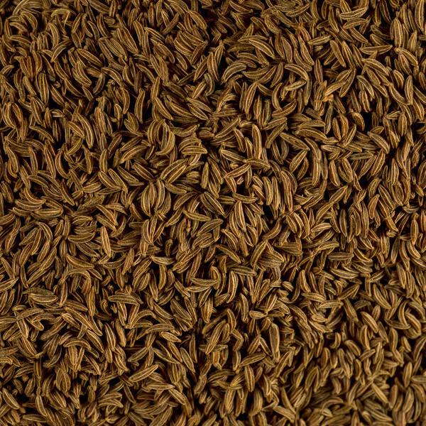 Caraway Seeds - Shahi Jeera - Carum carvi 2 Caraway Seeds - Shahi Jeera - Carum carvi - Image 2