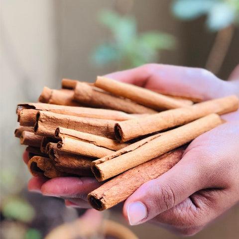 Cinnamon Sticks - Dal Chini - Cinnamomum zeylanicum - Cinnamomum verum 2 Cinnamon Sticks - Dal Chini - Cinnamomum zeylanicum - Cinnamomum verum - Image 2