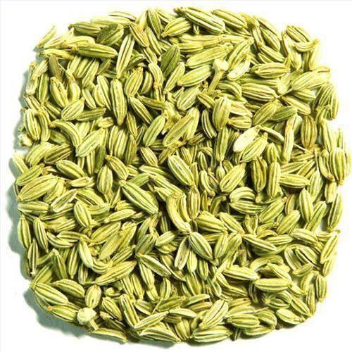 Fennel Seeds - Saunf - Aniseeds - Foeniculum vulgare 1 Fennel Seeds - Saunf - Aniseeds - Foeniculum vulgare