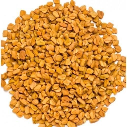 Fenugreek Seeds - Methi Dana - Trigonella foenum-graecum 1 Fenugreek Seeds - Methi Dana - Trigonella foenum-graecum