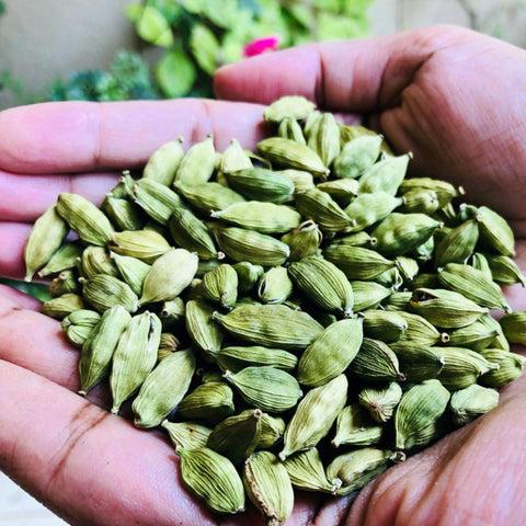 Green Cardamom - Chhoti Elaichi - Elettaria cardamomum 4 Green Cardamom - Chhoti Elaichi - Elettaria cardamomum - Image 4