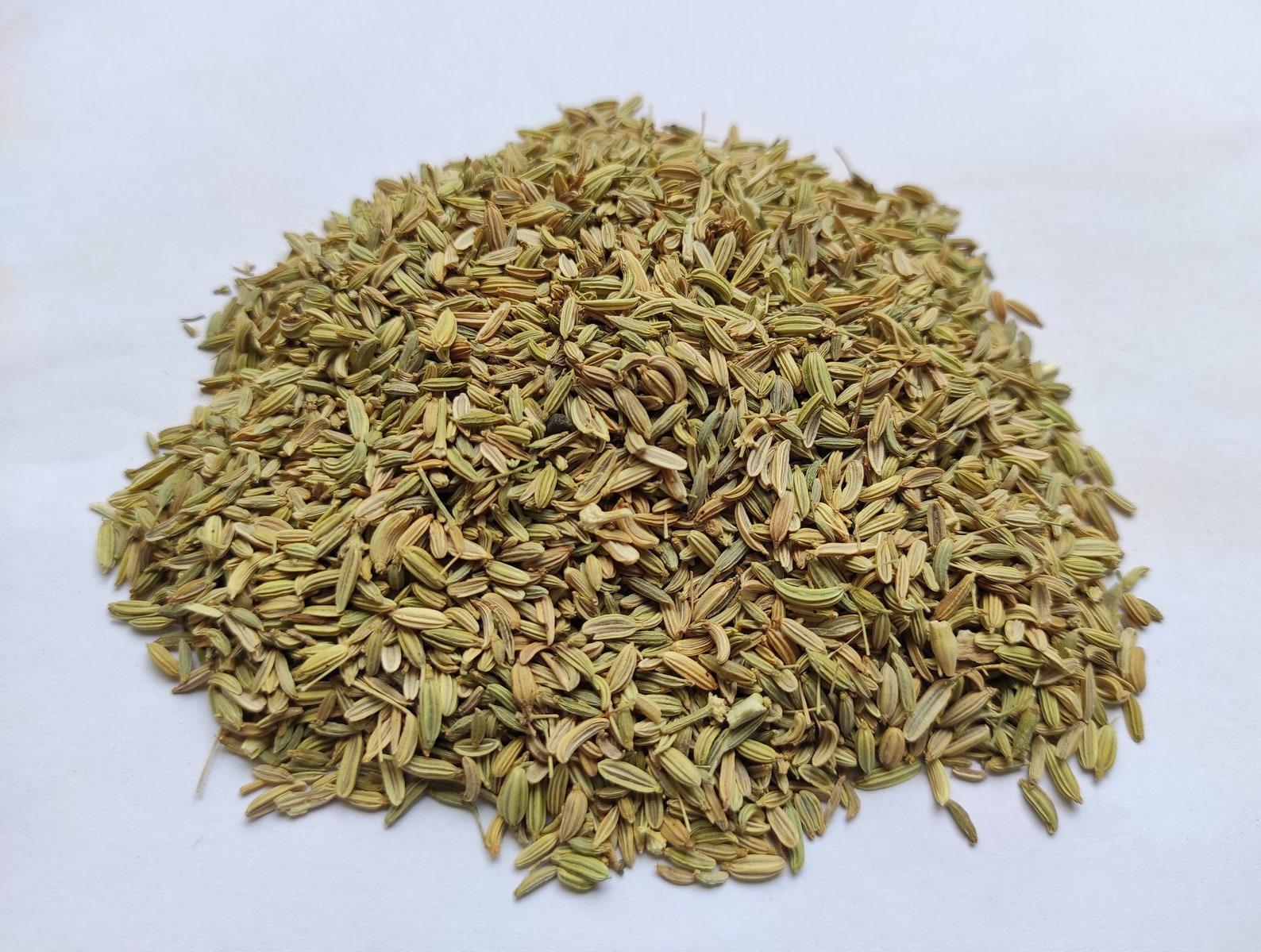 Fennel Seeds - Saunf - Aniseeds - Foeniculum vulgare 4 Fennel Seeds - Saunf - Aniseeds - Foeniculum vulgare - Image 4