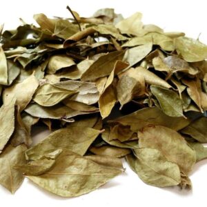 Curry Leaves Dried - Kadhi Patta - Murraya koenigii