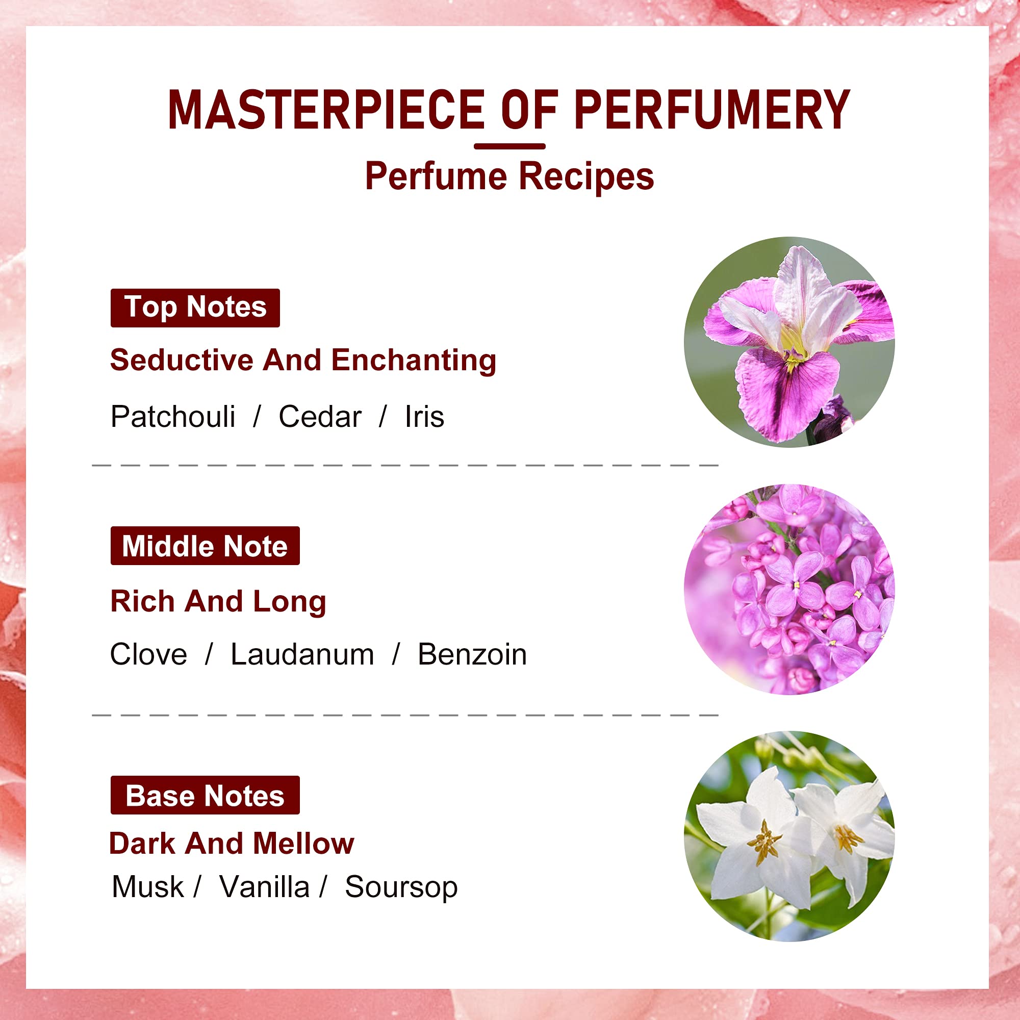 COCOVEL Enchanting Charm Perfumed Shower Gel 380 ML 7 COCOVEL Enchanting Charm Perfumed Shower Gel 380 ML - Image 7