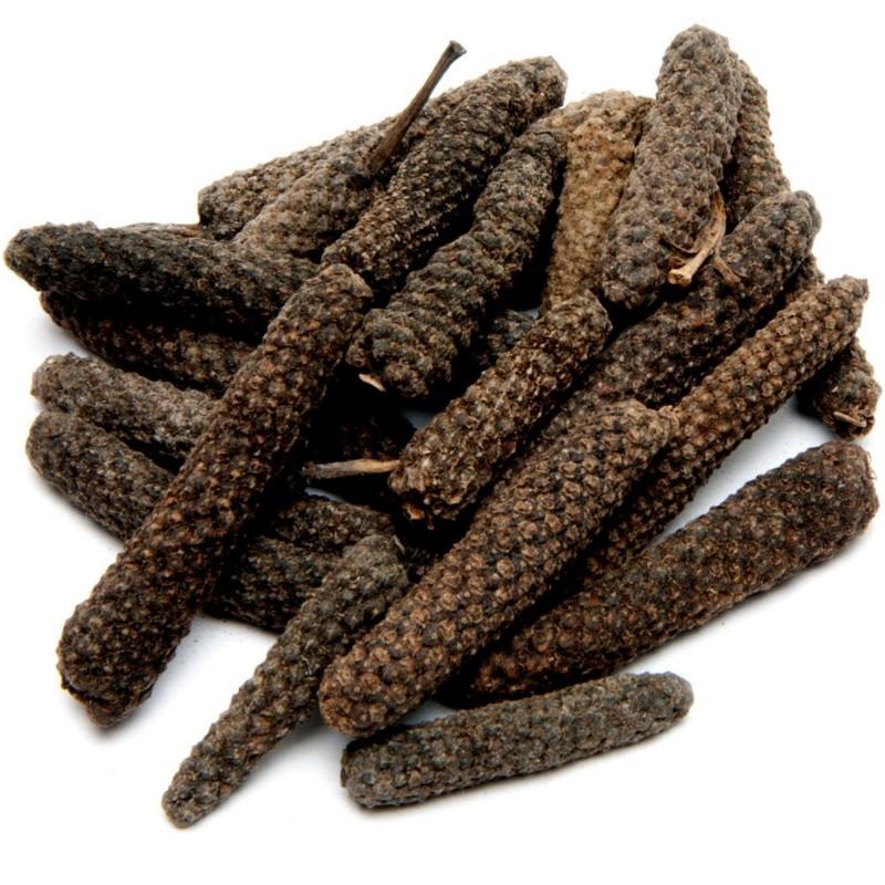 Long Pepper - Pippali - Piper longum 1 Long Pepper - Pippali - Piper longum