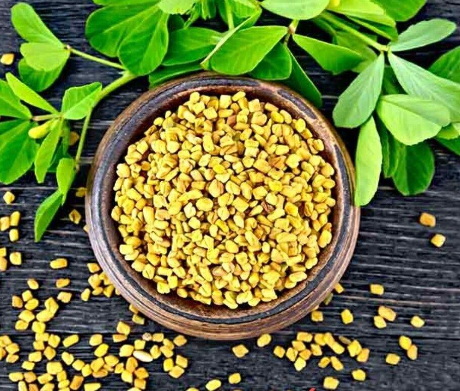 Fenugreek Seeds - Methi Dana - Trigonella foenum-graecum 3 Fenugreek Seeds - Methi Dana - Trigonella foenum-graecum - Image 3