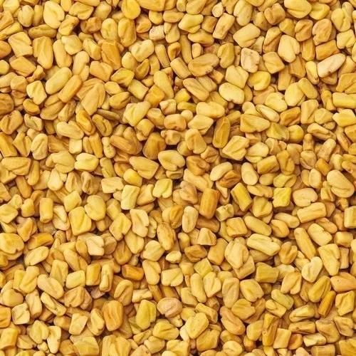 Fenugreek Seeds - Methi Dana - Trigonella foenum-graecum 2 Fenugreek Seeds - Methi Dana - Trigonella foenum-graecum - Image 2