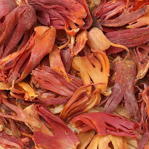 Mace - Javitri - Myristica fragrans -Wild Mace Pods 2 Mace - Javitri - Myristica fragrans -Wild Mace Pods - Image 2