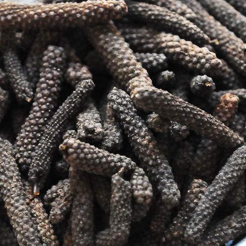 Long Pepper - Pippali - Piper longum 2 Long Pepper - Pippali - Piper longum - Image 2