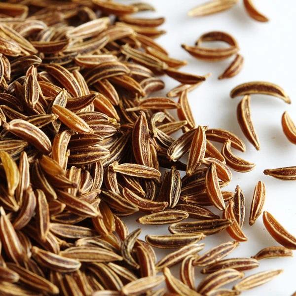 Caraway Seeds - Shahi Jeera - Carum carvi 1 Caraway Seeds - Shahi Jeera - Carum carvi