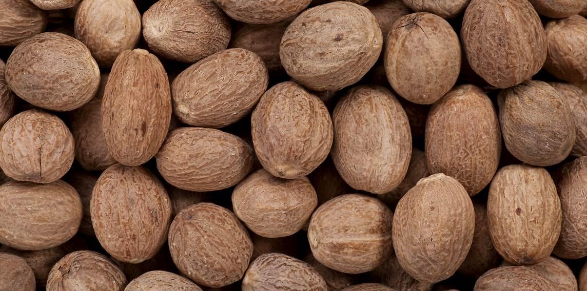 Nutmeg - Jaiphal - Myristica fragrans 2 Nutmeg - Jaiphal - Myristica fragrans - Image 2