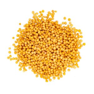 Yellow Mustard Seeds - Peeli Sarson - Sinapis alba